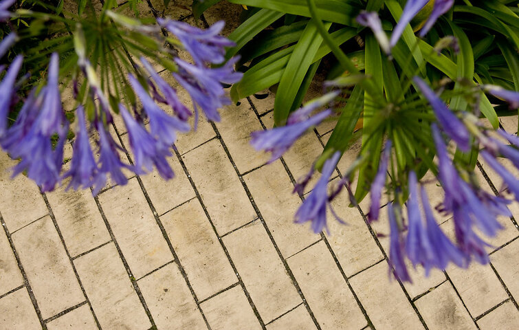 Terrasse af sten tegl