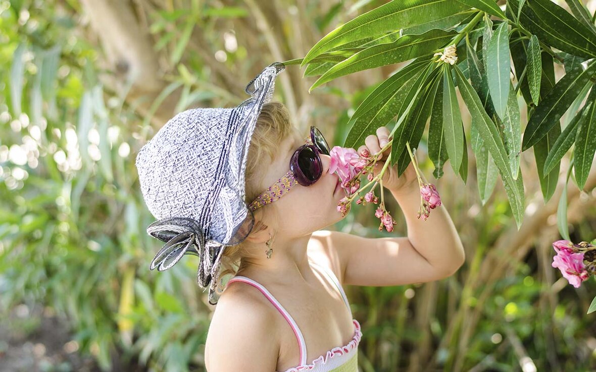 Giftige planter nerie haven Nerien er en meget giftig plante