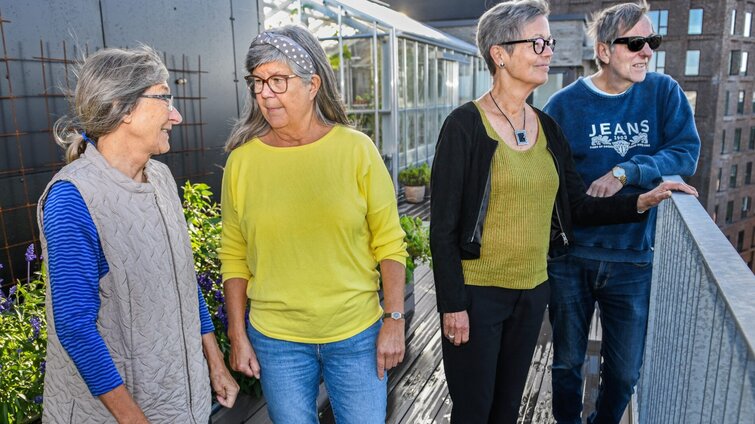 Fire personer står på tagterrasse og taler sammen