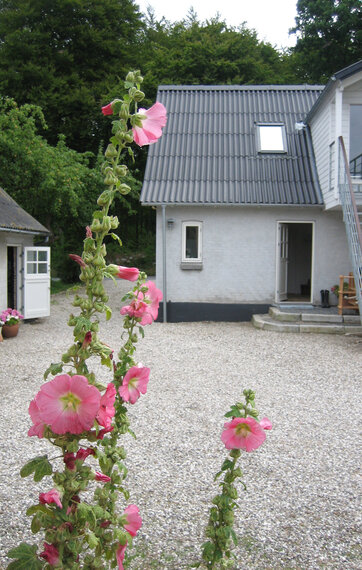 landbrugspligt hus på landet