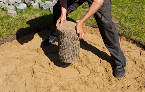 grus stampes med træstub