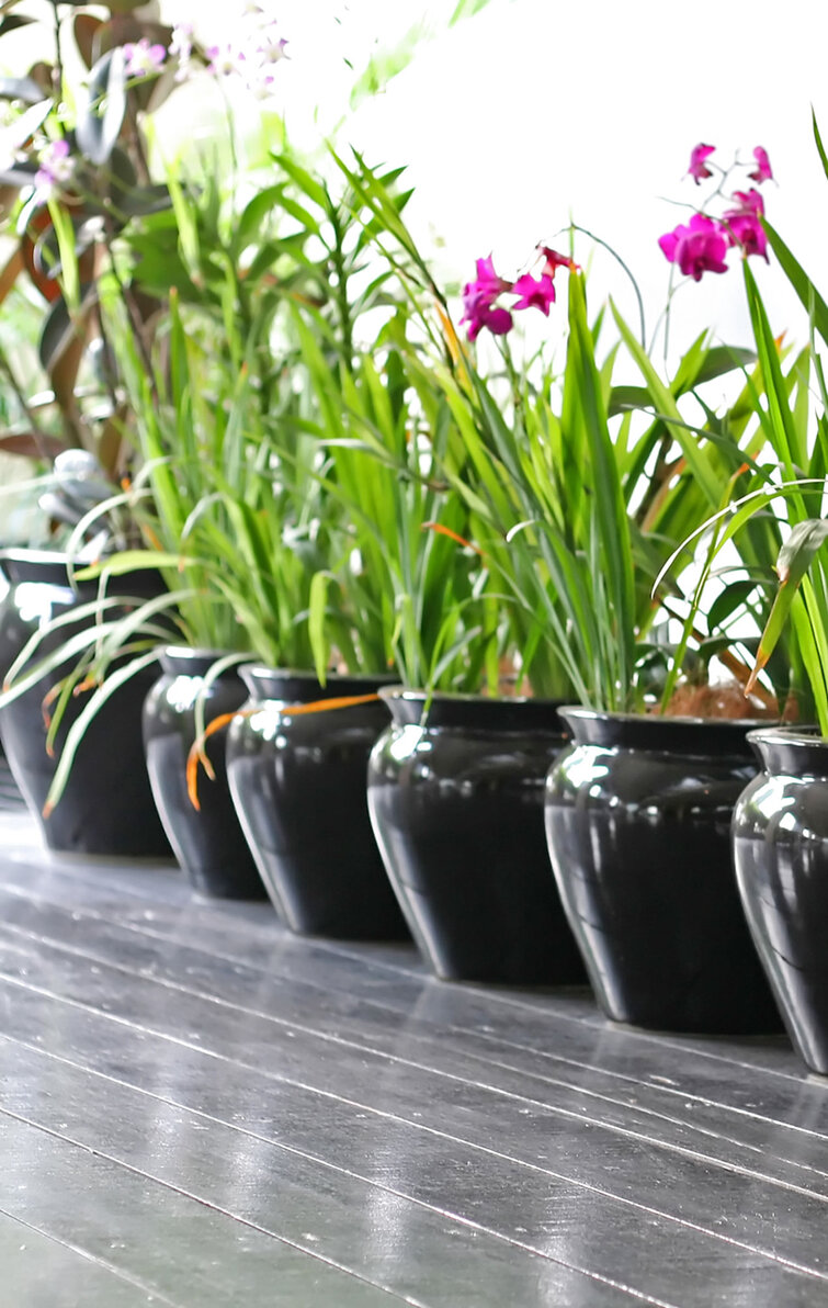 Krukker med blomster.