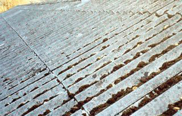 Bølgepladetag af fibercement, der indeholder asbest