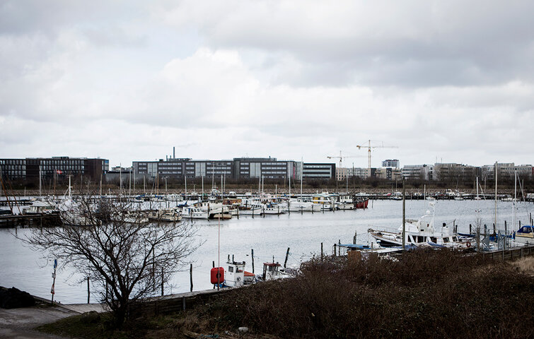Udsigt over Sydhavnen.