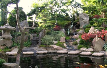 Japansk inspireret havedam.