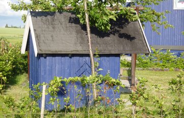 Legehus i blåmalet træ i baghave