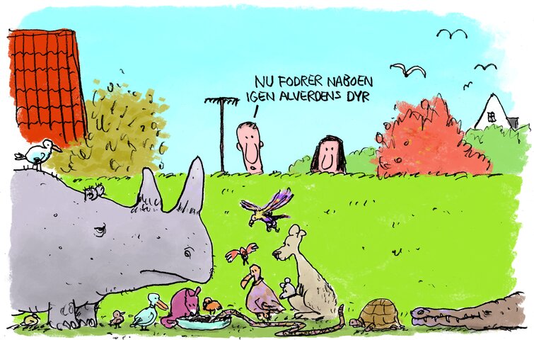 Dyr i boligen