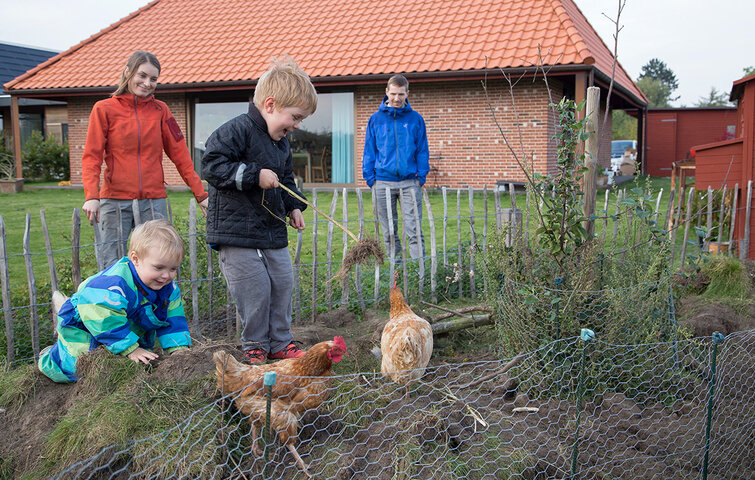 Vedligeholdelsesfrit hus i Nyborg Vedligeholdelsesfrit hus i Nyborg