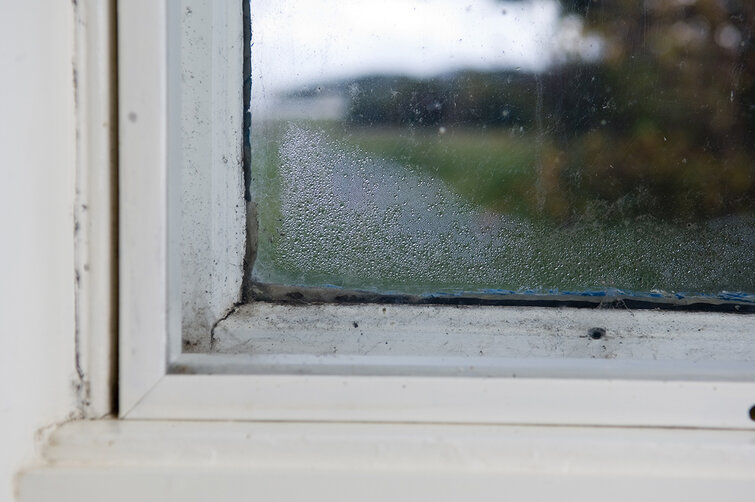 Dug på forsatsvindue mellem forsatsrude og selve vinduet.