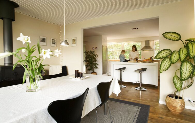 Der er forskel på, hvor tit planter skal vandes. Det afhænger bl.a. af, hvilken plante det er, stuetemperaturen og placeringen.