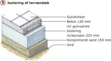 Skimmelsvamp i kælder