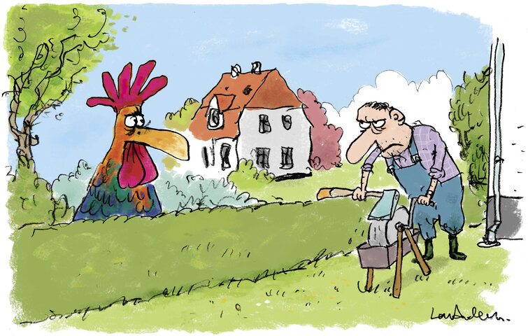 Illustration, hvor en mand og en hane nedstirrer hinanden på tværs af hæk