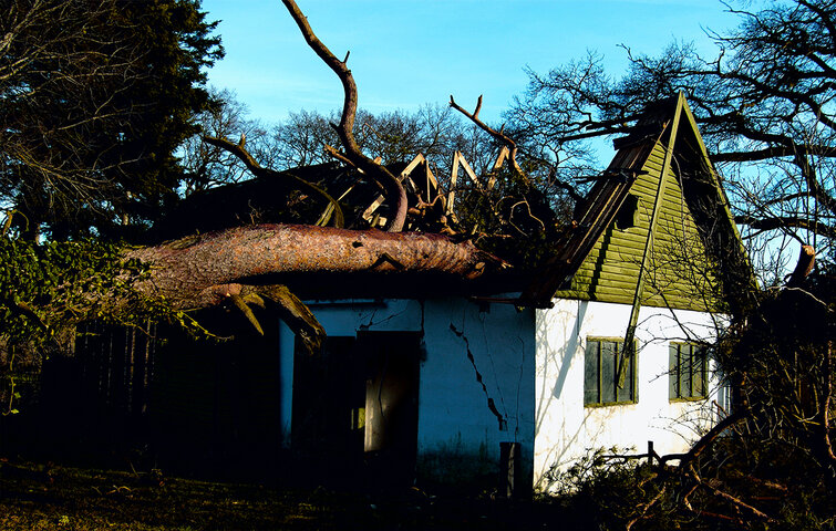 Træ væltet ned i hus