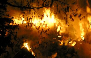 brand i skov