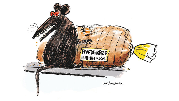 Tegning af rotte, der er sidder foran brødpose med brød klar til at gå i gang med måltidet