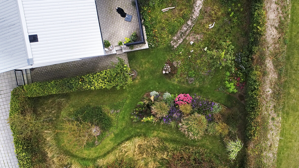 Indretning af vild have set ovenfra