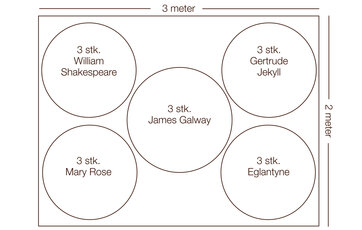 Illustration af firkantet rosenbed