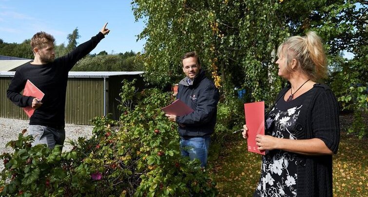 Naboer uenige over hæk i skel - sådan er reglerne