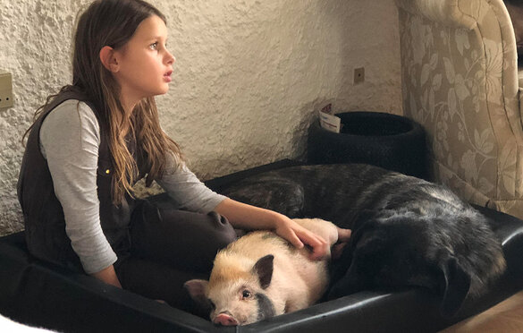 Sara sidder og aer kælegrisen Mille, mens Maja sover ved siden af