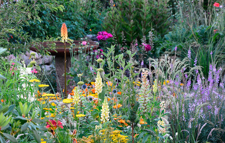 Naturhave 4 Vild og naturlig have med blomster i forskellige farver, både gul, orange og lilla