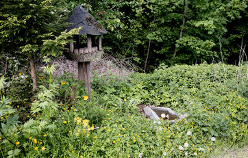 En bunke kvas og et fuglehus i en naturhave En bunke kvas og et fuglehus i en naturhave