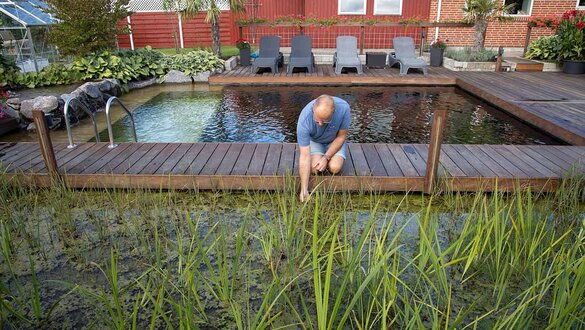 sø med vandplanter renser badesø