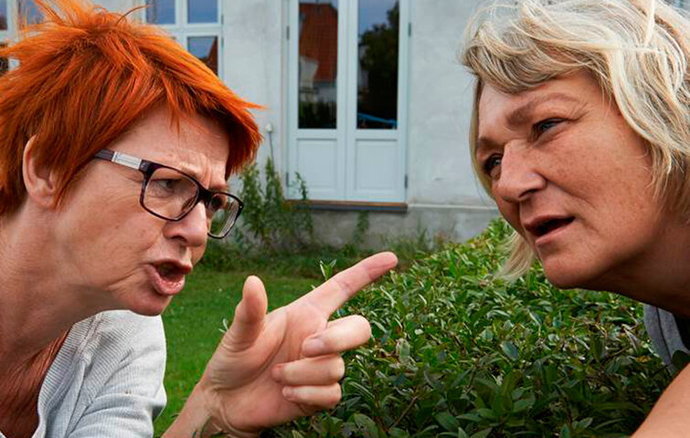 Naboer diskuterer henover en hæk