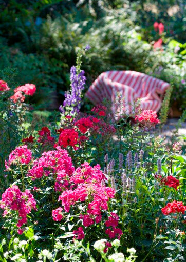 Blomsterbed med forskellige stauder