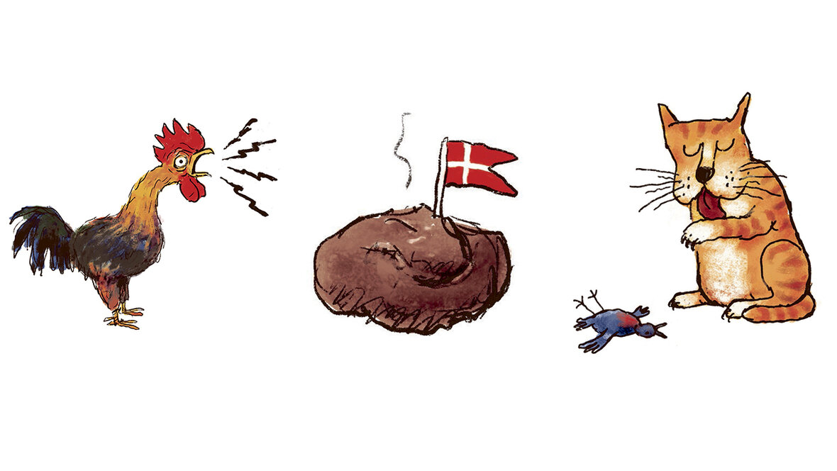 Tegninger af galende hane, hundelort med flag i og kat, der har dræbt fugl