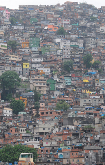 Levevis i Brasilien