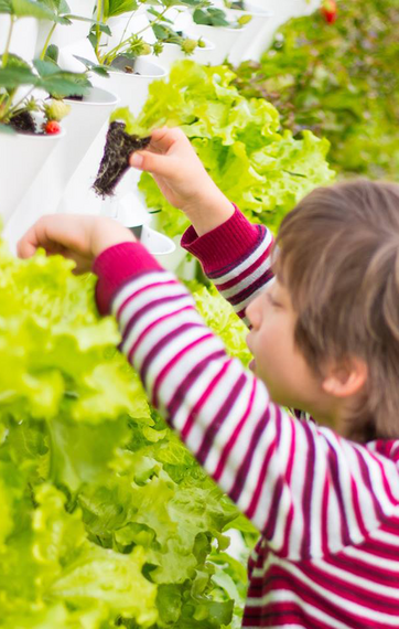 Dreng ved Minigarden plantevæg