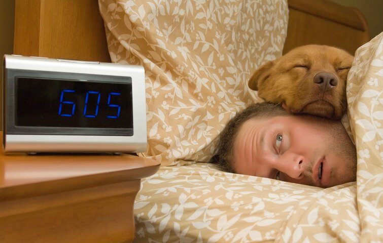 Det kan være hyggeligt at vågne op med hunden i sengen, men sundhedsmæssigt kan det være en farlig fornøjelse.