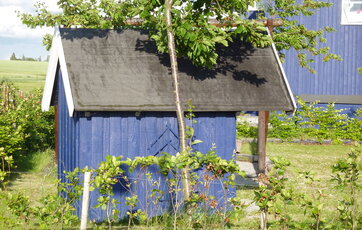 Legehus med tagpap som tagbeklædning.