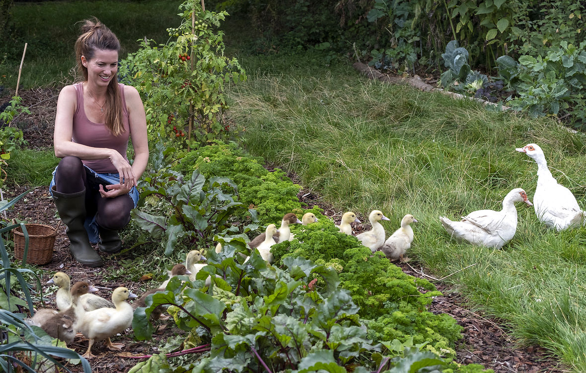 Lene Skrumsager Møller i sin køkkenhave med moskusænder og ællinger på tur